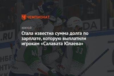 Стала известна сумма долга по зарплате, которую выплатили игрокам «Салавата Юлаева» - championat.com - Башкирия