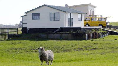 В Новой Зеландии вместо овец стали выращивать леса – это поощряют власти - svoboda.org - Новая Зеландия