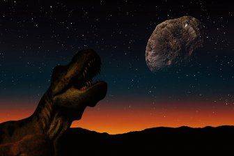 Предки людей пережили столкновение с астероидом, убившее динозавров - obzor.lt