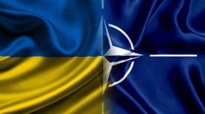 Владимир Зеленский - Педро Санчес - Испания стала 21 страной, поддержавшей членство Украины в НАТО - ru.slovoidilo.ua - Украина - Киев - Испания