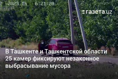 В Ташкенте и Ташкентской области 25 камер фиксируют незаконное выбрасывание мусора - gazeta.uz - Узбекистан - Ташкент - Ташкентская обл.