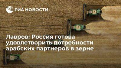 Сергей Лавров - Лавров: Россия готова удовлетворить дополнительные потребности арабских партнеров в зерне - smartmoney.one - Россия - Персия