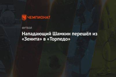 Нападающий Шамкин перешёл из «Зенита» в «Торпедо» - championat.com - Москва - Россия - Санкт-Петербург
