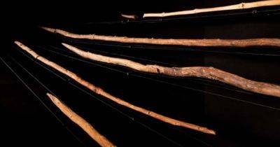 В Германии нашли копья, которые использовали неандертальцы - как они выглядят - видео - apostrophe.ua - Украина - Германия - Находка