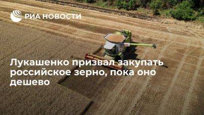 Александр Лукашенко - Игорь Брыло - Лукашенко: Белоруссии следует закупить зерно из России, пока оно дешево - smartmoney.one - Россия - Белоруссия