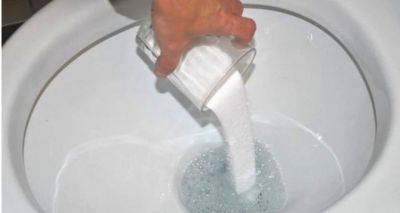 Унитаз плохо смывает? После этого от засоров не останется ничего: как прочистить канализацию «домашними методами» - cxid.info