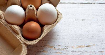 Чем можно заменить яйца. 5 вкусных альтернатив с высоким содержанием белка - focus.ua - Украина