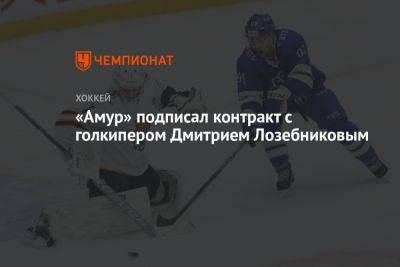 «Амур» подписал контракт с голкипером Дмитрием Лозебниковым - championat.com - Словения