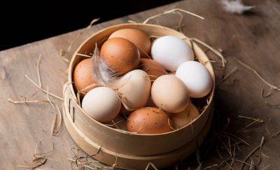 В чем разница между белым и коричневым яйцом — объяснение врача - planetanovosti.com