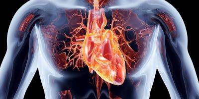 Познаем себя. Британские кардиологи создали самую подробную в мире карту сердца - nv.ua - Украина - Лондон