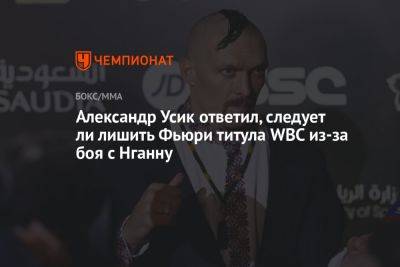 Александр Усик - Фьюри Тайсон - Фрэнсис Нганн - Александр Усик ответил, следует ли лишить Фьюри титула WBC из-за боя с Нганну - championat.com - Англия - Франция