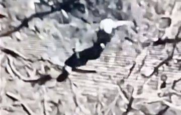 Юрий Бутусов - Видеофакт: Русский оккупант сломя голову бежит после взрыва мины и падения дерева на него - charter97.org - Белоруссия