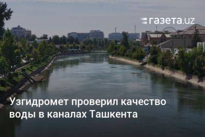 Узгидромет проверил качество воды в каналах Ташкента - gazeta.uz - Узбекистан - Ташкент - Ташкентская обл.