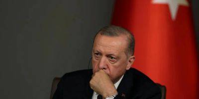 Владимир Путин - Реджеп Тайип Эрдоган - Эрдоган заявил, что Путин согласился с необходимостью продлить зерновое соглашение. В Кремле отреагировали - nv.ua - Россия - Украина - Турция