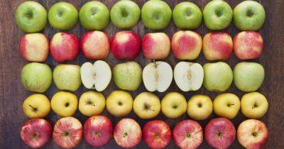 Диетолог объяснила пользу от каждодневного поедания яблок - dsnews.ua - США - Украина