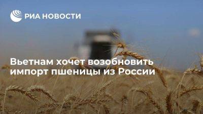 Вьетнам хочет возобновить импорт пшеницы из России, есть интерес и к черешне - smartmoney.one - Россия - Вьетнам