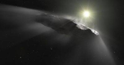 Откуда в Солнечную систему прилетел межзвездный объект Оумуамуа: ученые знают ответ - focus.ua - Украина - Англия