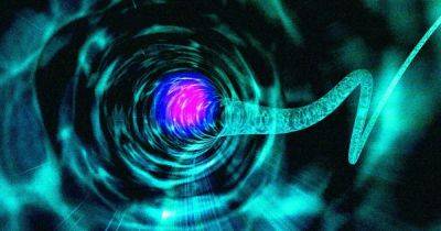 Вселенная - Туда и обратно: физики выяснили, как червоточины могут позволить путешествовать во времени - focus.ua - Украина - Канада - Чехия