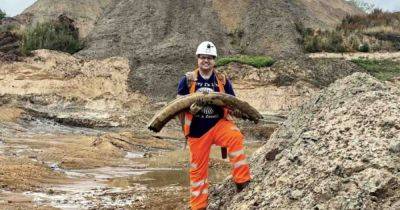 Охотник за "древними костями" обнаружил целый бивень мамонта возрастом 450 000 лет (фото) - focus.ua - Украина - Англия - Лондон - Великобритания