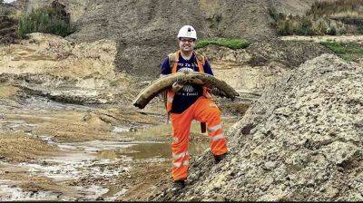 Мужчина нашел бивень мамонта возрастом около 450 тысяч лет - planetanovosti.com - Англия - Лондон