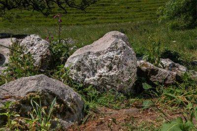 В Англии нашли камень для полировки топоров возрастом 5 тысяч лет - фото - apostrophe.ua - Украина - Англия - Германия - Индия - Русь