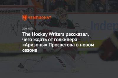 The Hockey Writers рассказал, чего ждать от голкипера «Аризоны» Просветова в новом сезоне - championat.com - шт. Аризона