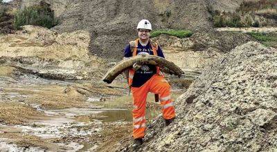 Мужчина нашел бивень мамонта возрастом около 500 тысяч лет - planetanovosti.com - Англия - Лондон