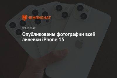 Опубликованы фото iPhone 15, iPhone 15 Plus, iPhone 15 Pro и iPhone 15 Pro Max - championat.com