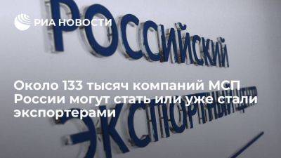 Вероника Никишина - Около 133 тысяч компаний МСП России могут стать или уже стали экспортерами - smartmoney.one - Россия