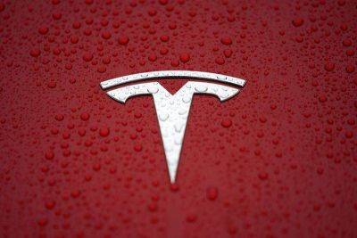 Илон Маск - Скептики Tesla не верят в продолжение ралли - smartmoney.one - Reuters