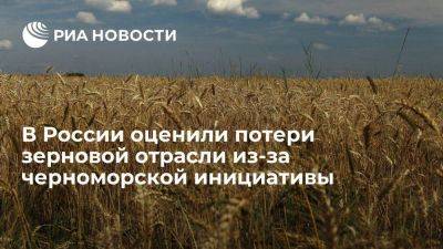 Аркадий Злочевский - Зерновая отрасль России потеряла из-за черноморской инициативы около миллиарда долларов - smartmoney.one - Россия - Украина - Турция - Одесса - Тольятти