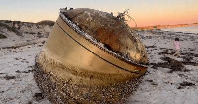 Может быть опасным: загадочный цилиндр высотой 2 метра выбросило на пляж (фото) - focus.ua - Украина - Австралия - Находка