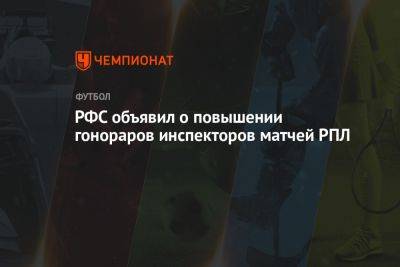 Павел Каманцев - РФС объявил о повышении гонораров инспекторов матчей РПЛ - championat.com - Россия