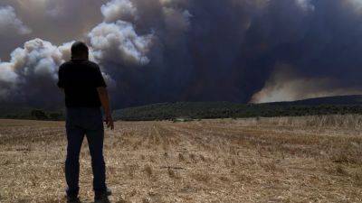 Кириакос Мицотакис - Тушению пожаров мешает сильный ветер - ru.euronews.com - Италия - Франция - Греция