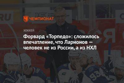 Форвард «Торпедо»: сложилось впечатление, что Ларионов — человек не из России, а из НХЛ - championat.com - Россия