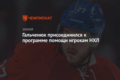 Алексей Гальченюк - Гальченюк присоединился к программе помощи игрокам НХЛ - championat.com