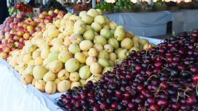 В Таджикистане нарастили экспорт фруктов - dialog.tj - Душанбе - Таджикистан