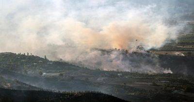 Али Ерликая - Лесные пожары бушуют в Турции на фоне продолжающейся жары - dialog.tj - Турция