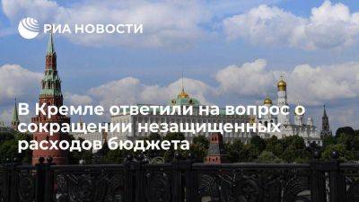 Дмитрий Песков - Песков: сокращение незащищенных расходов бюджета не понижает приоритетность нацпроектов - smartmoney.one - Россия