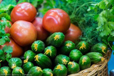 В Украине резко упали в цене помидоры и огурцы: где купить самые дешевые - vchaspik.ua - Украина