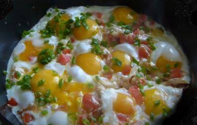 Это просто божественно: рецепт яичницы с молодыми кабачками, творогом и помидорами - hyser.com.ua - Украина