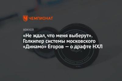 «Не ждал, что меня выберут». Голкипер системы московского «Динамо» Егоров — о драфте НХЛ - championat.com - Москва - Россия - Сан-Хосе