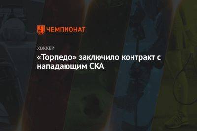 «Торпедо» заключило контракт с нападающим СКА - championat.com - шт. Аризона