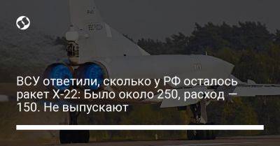 Юрий Игнат - ВСУ ответили, сколько у РФ осталось ракет Х-22: Было около 250, расход — 150. Не выпускают - liga.net - Россия - Украина - Николаев - Одесса