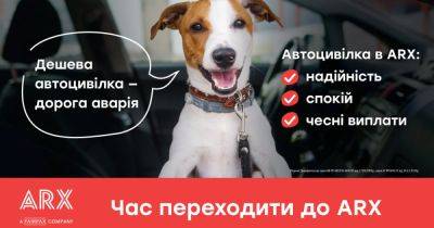 Как правильно выбирать Автогражданку - focus.ua - Украина