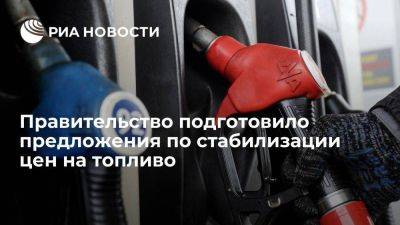 Александр Новак - Вице-премьер Новак рассказал о подготовке предложений для стабилизации цен на бензин - smartmoney.one - Россия