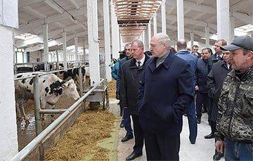 Александр Лукашенко - Лукашенко запретил занятым в сельском хозяйстве увольняться без специального разрешения - charter97.org - Белоруссия