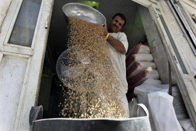 Пошлина на экспорт пшеницы с 26 июля снизится до 2712,1 рубля за тонну - smartmoney.one - Москва - Россия - Reuters