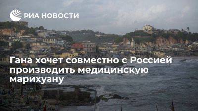 Сергей Катырин - Гана заинтересована в совместном производстве медицинской марихуаны с Россией - smartmoney.one - Россия - Гана