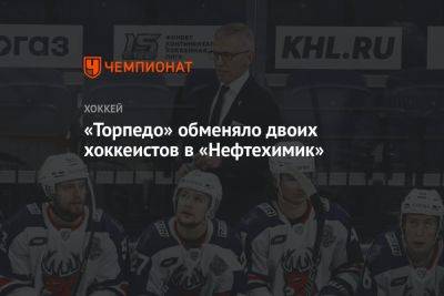 «Торпедо» обменяло двоих хоккеистов в «Нефтехимик» - championat.com - Россия - Белоруссия - Гомель